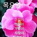 '안녕하세요? 즐거운 ' 글에 포함된 이미지
