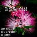 '안녕하세요? 새로운 ' 글에 포함된 이미지
