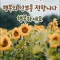 '사람은 모두 다르게 ' 글에 포함된 이미지