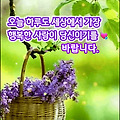 '좋아하는 사람이 많은' 글에 포함된 이미지