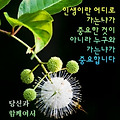 '출석함니다 ' 글에 포함된 이미지