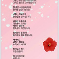'' 글에 포함된 이미지