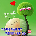 댓글 첨부 이미지
