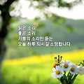 댓글 첨부 이미지