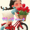 댓글 첨부 이미지
