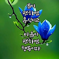댓글 첨부 이미지