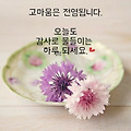댓글 첨부 이미지