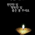 댓글 첨부 이미지