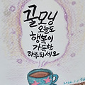 댓글 첨부 이미지