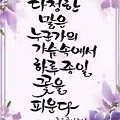 댓글 첨부 이미지