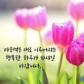 댓글 첨부 이미지