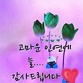 댓글 첨부 이미지