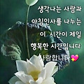 댓글 첨부 이미지
