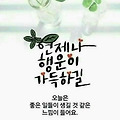 댓글 첨부 이미지
