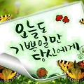 댓글 첨부 이미지