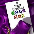 댓글 첨부 이미지