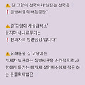댓글 첨부 이미지