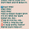 댓글 첨부 이미지