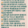 댓글 첨부 이미지