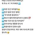 댓글 첨부 이미지