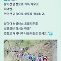 댓글 첨부 이미지