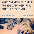 댓글 첨부 이미지