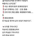 댓글 첨부 이미지