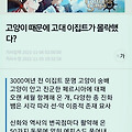 댓글 첨부 이미지