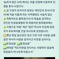 댓글 첨부 이미지