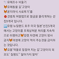 댓글 첨부 이미지