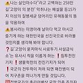 댓글 첨부 이미지