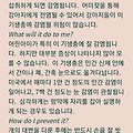 댓글 첨부 이미지