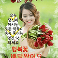 '세상은 고통으로 가득' 글에 포함된 이미지