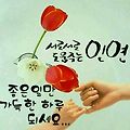 '인연' 글에 포함된 이미지