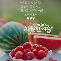 '오늘 누군가가 그늘에' 글에 포함된 이미지