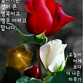 'ㅎㅎㅎ' 글에 포함된 이미지