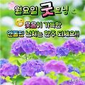 'ㅎㅎ' 글에 포함된 이미지