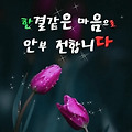 댓글 첨부 이미지