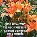 댓글 첨부 이미지