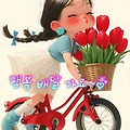 댓글 첨부 이미지
