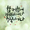 댓글 첨부 이미지
