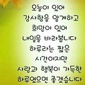 댓글 첨부 이미지