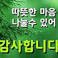 댓글 첨부 이미지