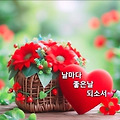 댓글 첨부 이미지