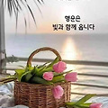 댓글 첨부 이미지
