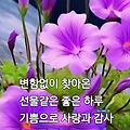 댓글 첨부 이미지