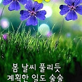 댓글 첨부 이미지