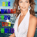 댓글 첨부 이미지