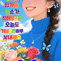 댓글 첨부 이미지