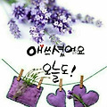 댓글 첨부 이미지